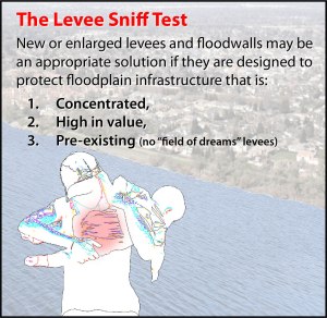 Levee Sniff Test